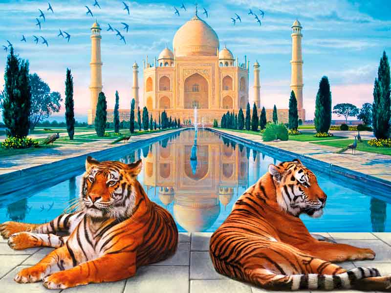 Wildlife of India And Taj